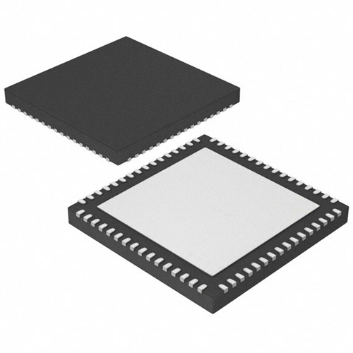 IC mikroschemos GARSO SIGNALO PROCESORIUI